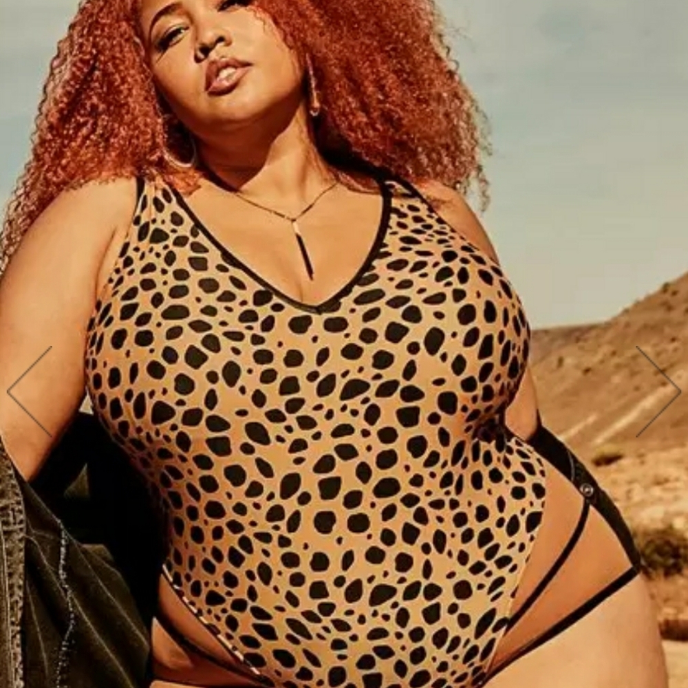 Gabi Fresh Swim Suit Size 16 Cup D/DD